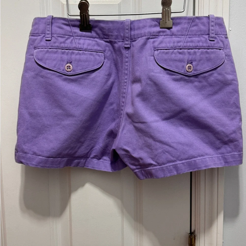 Purple Women's Shorts size 2